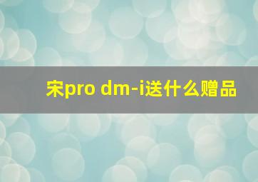 宋pro dm-i送什么赠品